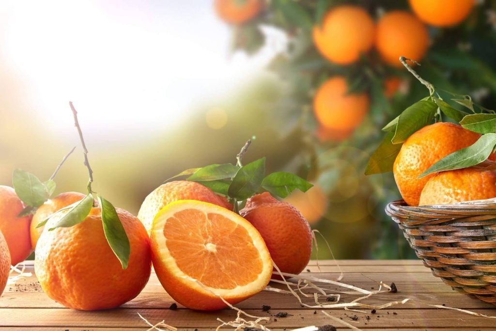 Los beneficios de comer naranjas: ¡salud y sabor en una fruta!
