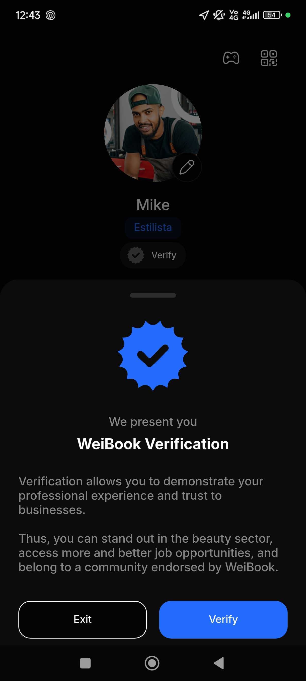 Pantalla de introducción al proceso de WeiBook Verification dentro de la aplicación